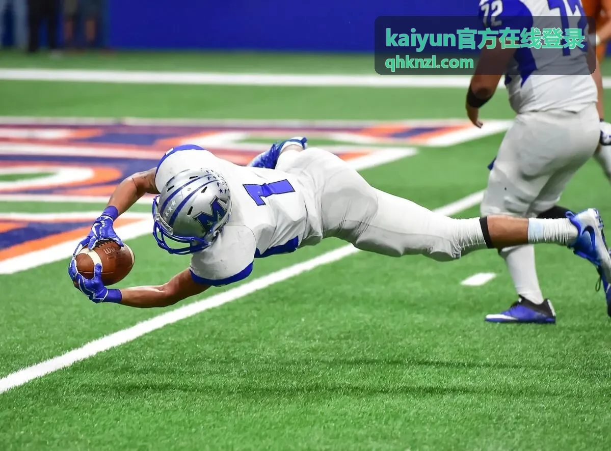 在线登录流程对照说明配图