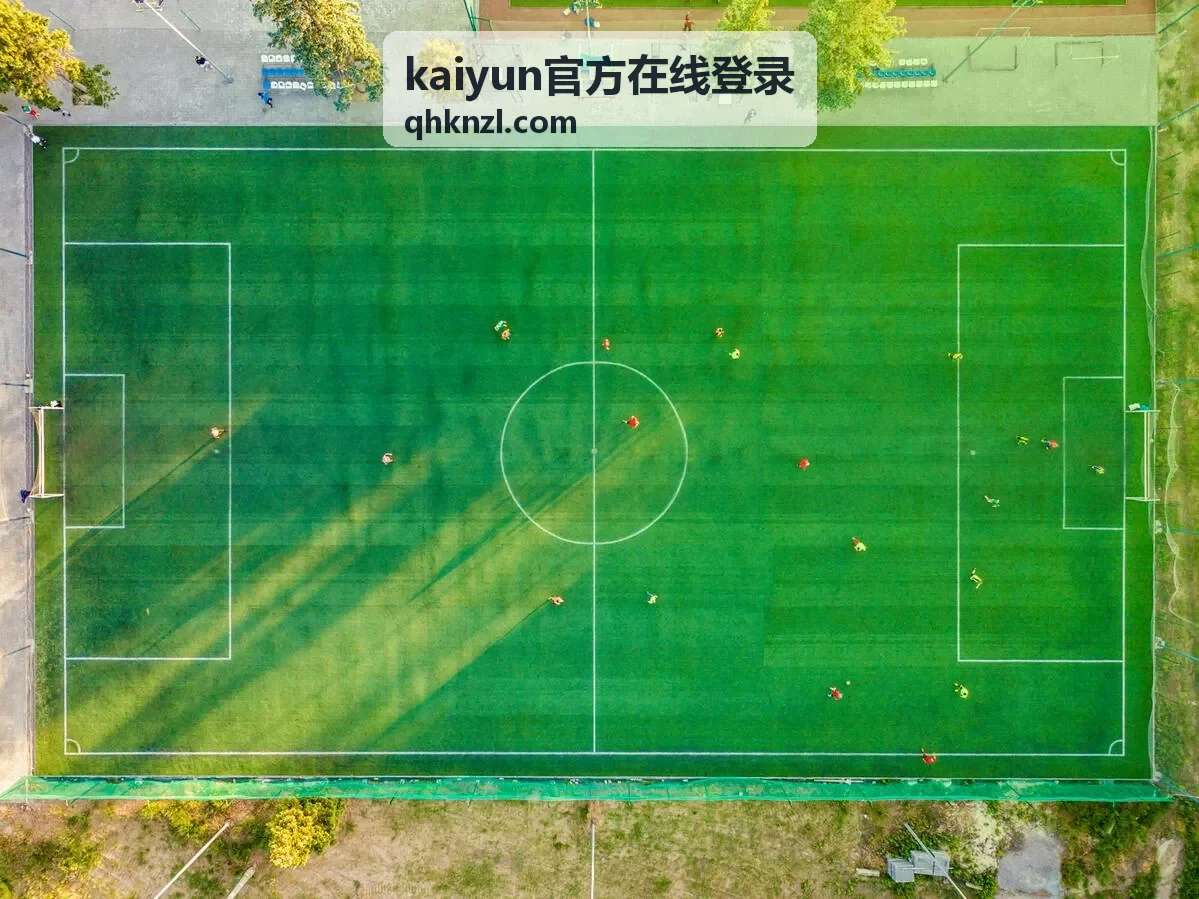 登录密码重置操作示意